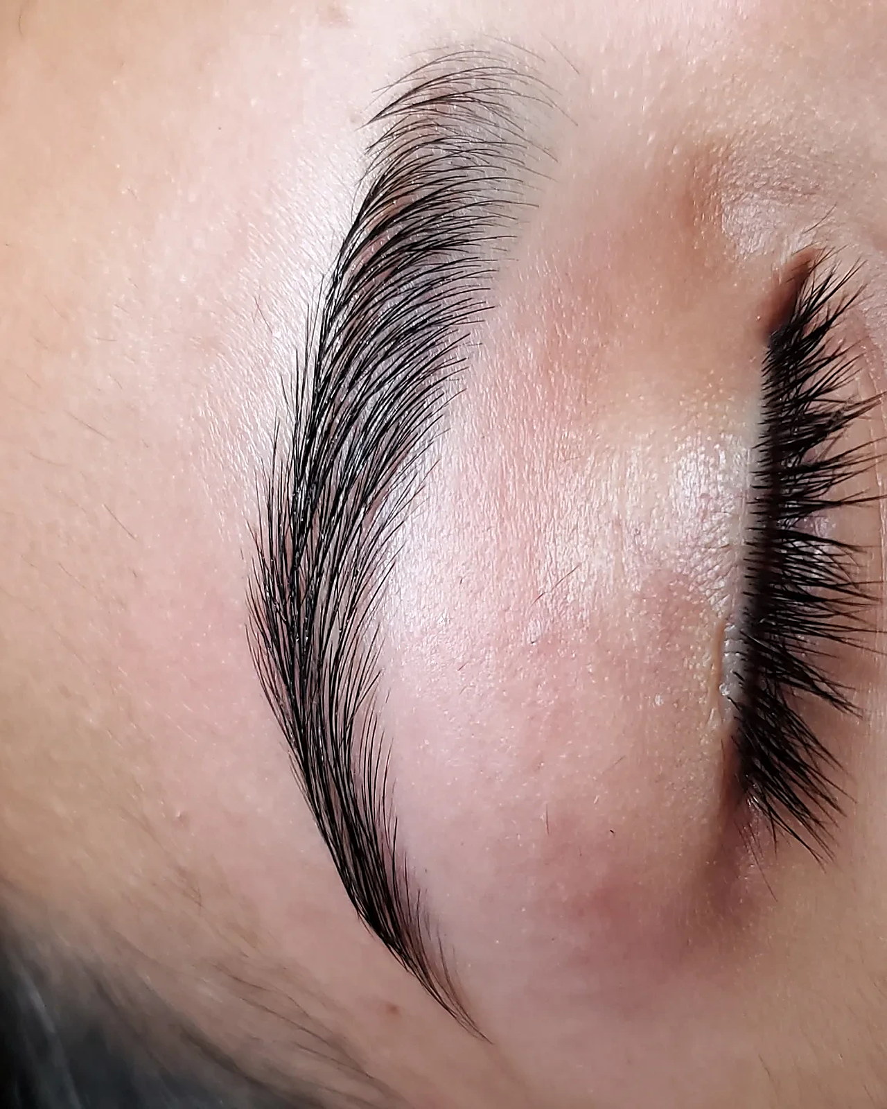 Freshly shaped brow, hairs brushed up and set, with lashes below