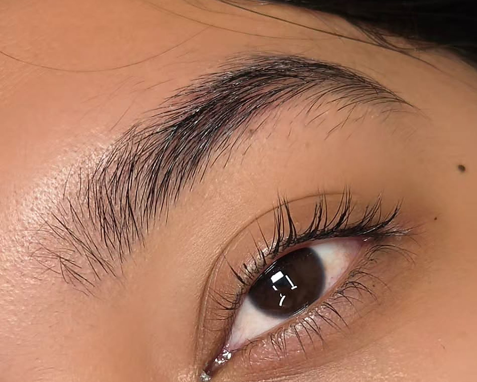 Brow hairs brushed up and held, lashes lifted from the base